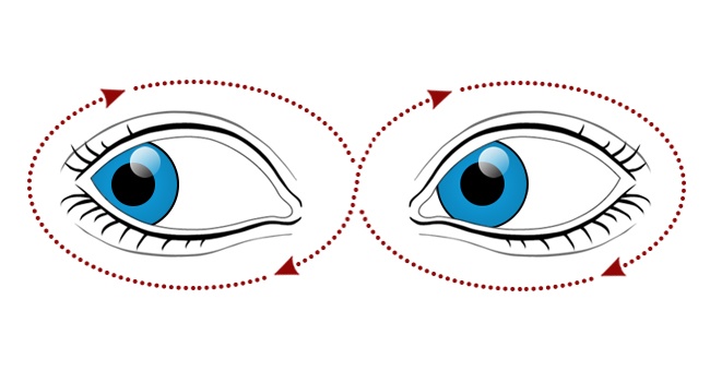 Move Your Gaze in Different Directions