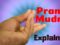 Prana Mudra Step by Step Guide and Its Benefits