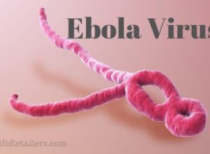 Ebola Virus Disease