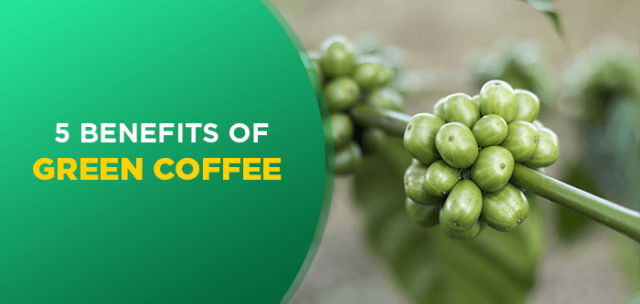Green Coffee Benefits