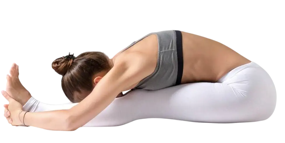 Seated Forward Bend