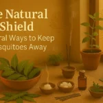 The Natural Shield: Natural Ways to Keep Mosquitos Away